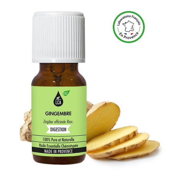 Miel et gingembre Bio, préparation pour la digestion