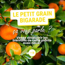 Vous êtes à la recherche d’un allié naturel pour vous détendre en journée ou profiter au mieux de belles nuits de sommeil ? 🌙 Découvrez ce véritable trésor d’agrumes pour une détente absolue !L’huile essentielle de petit grain bigarade est issue des feuilles et des jeunes rameaux de l’oranger amer. Historiquement, ce sont ses petits fruits immatures qui servaient à la distillation. 💡 C’est pour cette raison qu’on a nommé cette huile essentielle « petit grain ».Utilisée depuis de nombreux siècles en Asie (d’où l’arbre est originaire), elle s’utilise traditionnellement pour : 👉 Apaiser les tensions nerveuses 👉 Favoriser un sommeil récupérateur 👉 Redonner un plus bel aspect à la peauDécouvrez tous les bienfaits de cette huile essentielle dans notre roll-on Nuits tranquilles ! 💧 Il est associé à l’orange douce, la mandarine rouge, la lavande fine AOP de Haute-Provence et l’ylang-ylang. Une synergie bio, envoutante et efficace qui permet de retrouver toute sa sérénité en journée comme en soirée !⚠️ Ne pas utiliser cette huile essentielle chez la femme enceinte ou allaitante. Demandez toujours à un professionnel de santé si son usage est autorisé en cas de pathologie ou de traitement médicamenteux en cours.#aromathérapie #huileessentielle #huilesessentielles #provence #petitgrainbigarade #détente #relaxation #zen #bienêtre #nostress