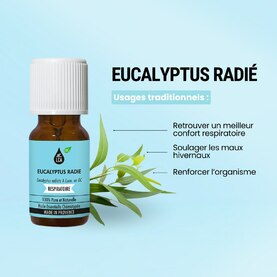 Découvrez l’huile essentielle d’Eucalyptus radié 💙Chez LCA on l’apprécie pour améliorer le confort respiratoire et soulager les maux hivernaux !👉 Et vous, comment l’utilisez-vous ? Dites-le nous en commentaire !#aromathérapie #huileessentielle #huilesessentielles #provence #santeaunaturel #bienetreaunaturel #eucalyptus #eucalyptusradié